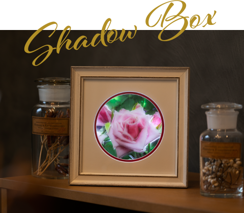 Shadow Box