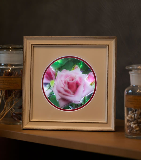 Nobu HARUKA Shadow box