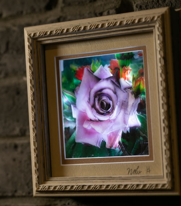 Nobu HARUKA Shadow box