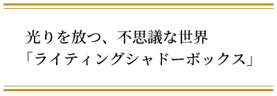 光りを放つ、不思議な世界「ライティングシャドーボックス」